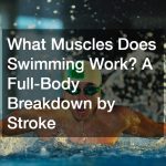 What Muscles Does Swimming Work? A Full-Body Breakdown by Stroke