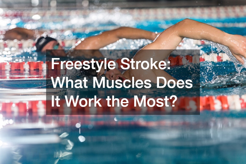 swimmers doing the freestyle stroke